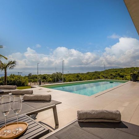Villa Ameli Apartment With Swimming Pool Риека Экстерьер фото